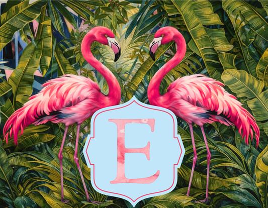 Flamingo - Flamingo Face Off