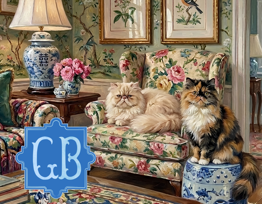 Cat - Persian Princes