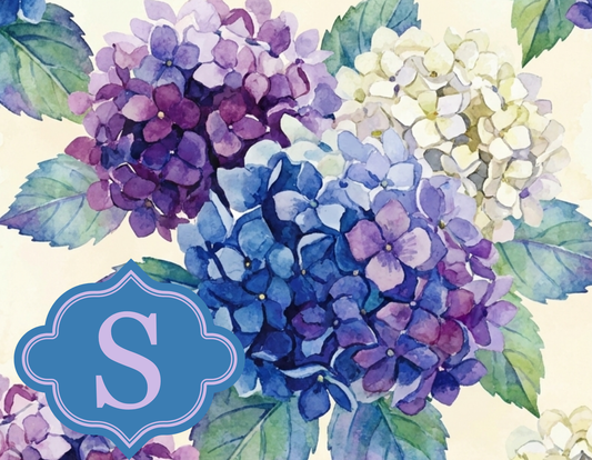Floral - Hydrangea Blooms