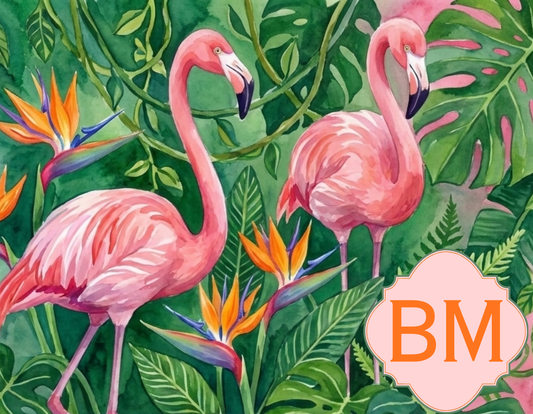 Flamingo - Flamingos in the Wild