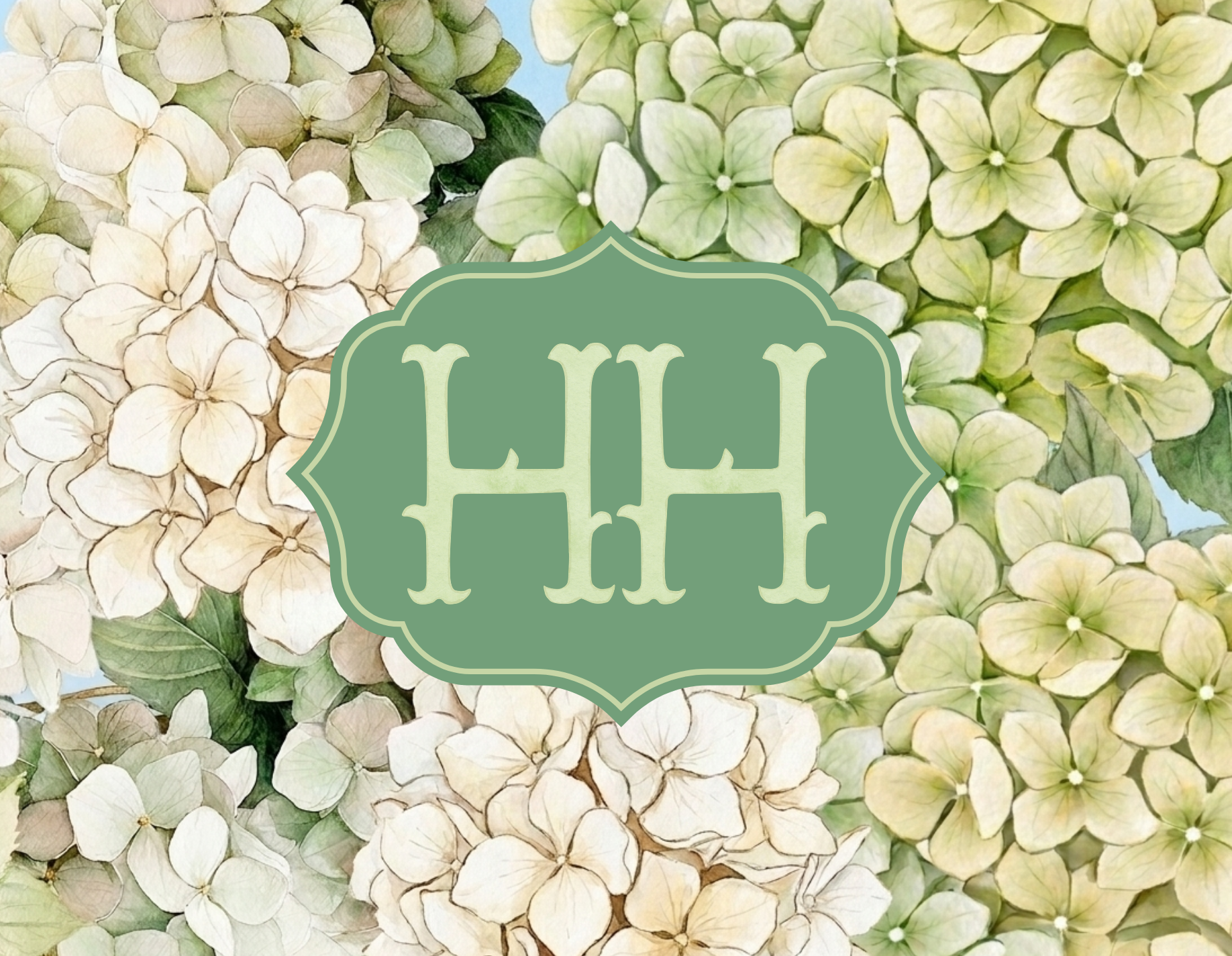 Hydrangea - Hydrangeas in Bloom 2