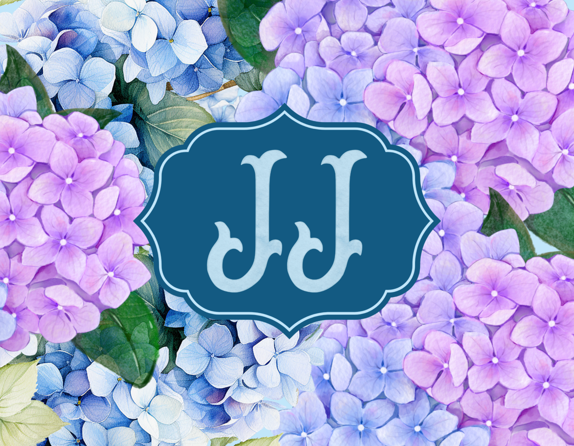 Hydrangea - Hydrangeas in Bloom 1